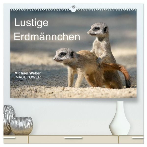 Produktbild: Lustige Erdm&auml;nnchen (hochwertiger Premium Wandkalender 2027 DIN A2 quer), Kunstdruck in Hochglanz