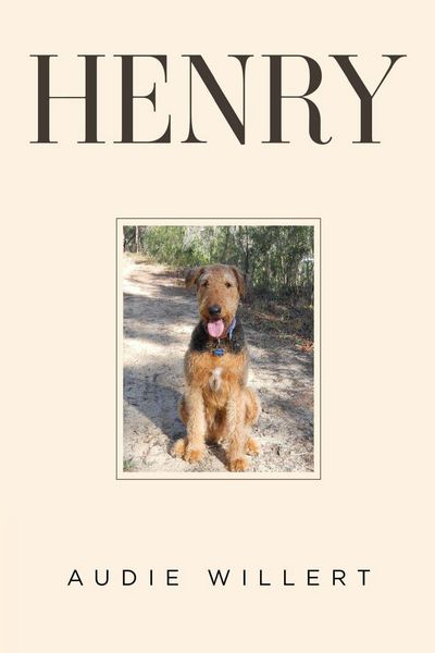 Produktbild: Henry