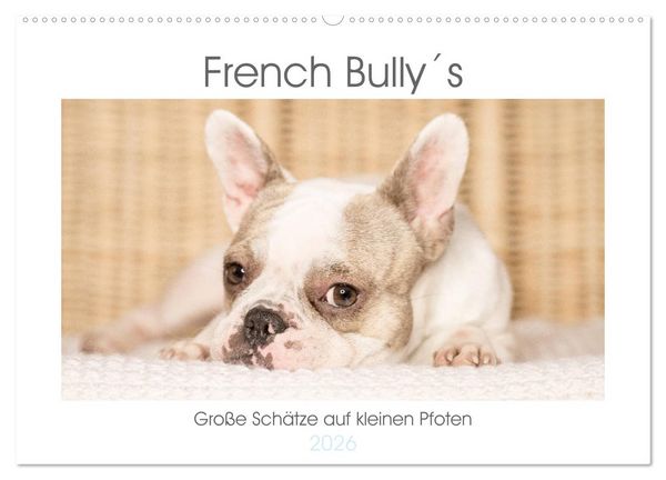 Produktbild: French Bully&acute;s - Gro&szlig;e Sch&auml;tze auf kleinen Pfoten (Wandkalender 2026 DIN A2 quer), CALVENDO Monatskalender