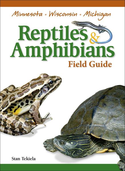 Produktbild: Reptiles & Amphibians of Minnesota, Wisconsin and Michigan Field Guide