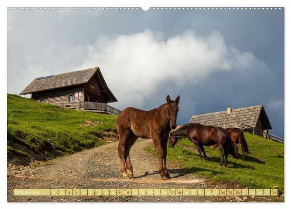 Produktbild: Die Feistritzer Alm - Wandern in den K&auml;rntner Bergen (hochwertiger Premium Wandkalender 2026 DIN A2 quer), Kunstdruck in Hochglanz