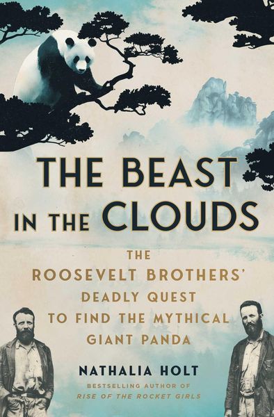 Produktbild: The Beast in the Clouds
