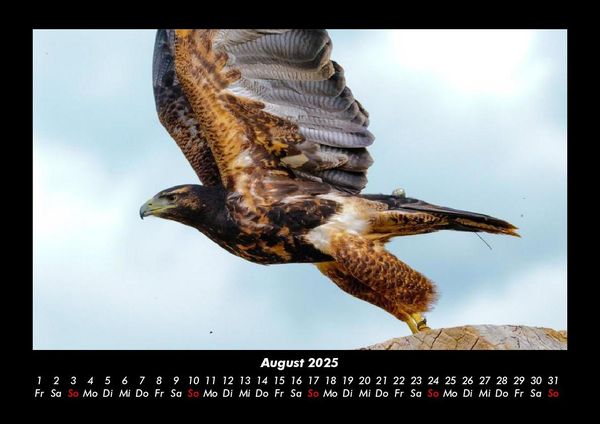 Produktbild: Vogelparadies 2025 Fotokalender DIN A3