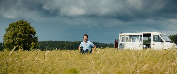 Produktbild: Die Goldfische