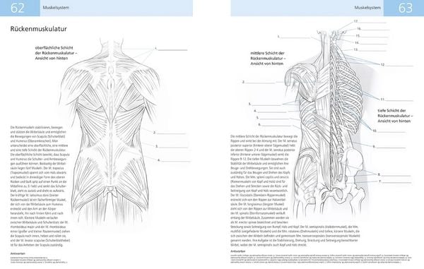 Produktbild: Das Lehrbuch der Anatomie