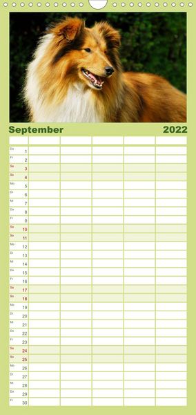 Produktbild: Sheltie 2022 - Familienplaner hoch (Wandkalender 2022 , 21 cm x 45 cm, hoch)