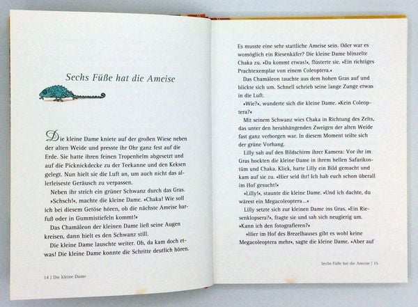Produktbild: Die kleine Dame auf Salafari / Die kleine Dame Band 3