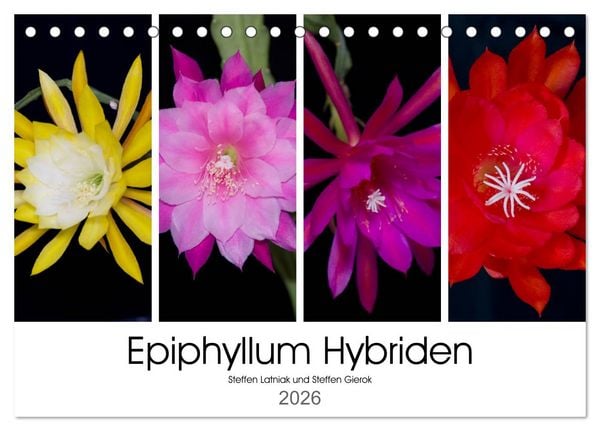 Epiphyllum-Hybriden (Tischkalender 2026 DIN A5 quer), CALVENDO Monatskalender