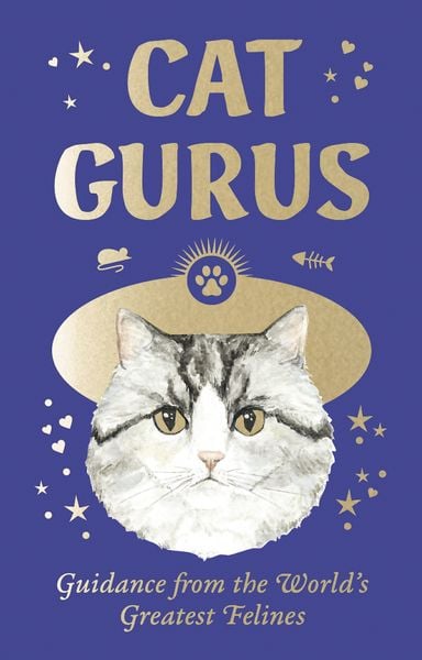 Produktbild: Cat Gurus Mini