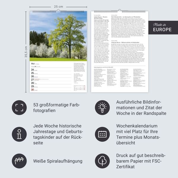 Produktbild: B&auml;ume Wochenplaner 2027 - 53 stimmungsvolle Fotografien