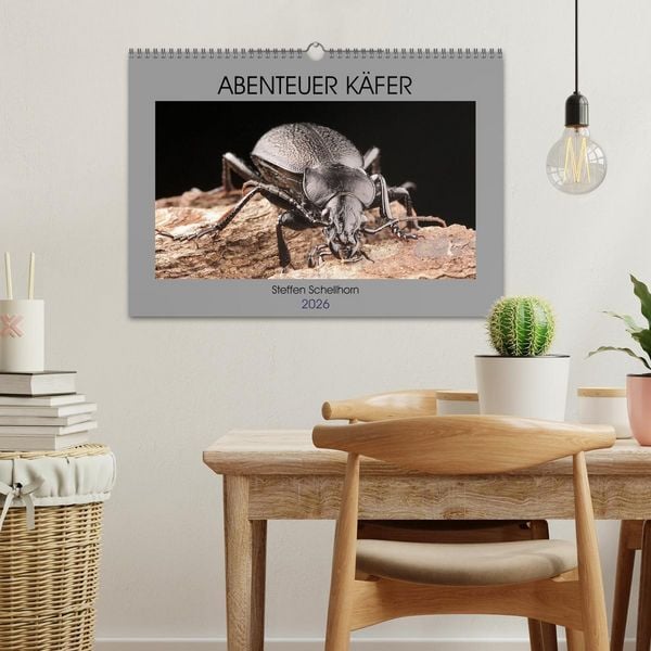 Produktbild: ABENTEUER K&Auml;FER (Wandkalender 2026 DIN A3 quer), CALVENDO Monatskalender
