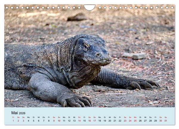 Produktbild: Indonesien - Die kleinen Sundainseln (Wandkalender 2026 DIN A4 quer), CALVENDO Monatskalender