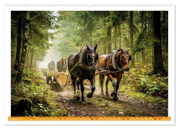 Produktbild: Arbeitspferde in Action (hochwertiger Premium Wandkalender 2027 DIN A2 quer), Kunstdruck in Hochglanz