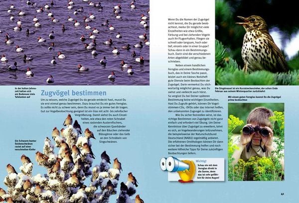 Produktbild: Entdecke die Zugv&ouml;gel