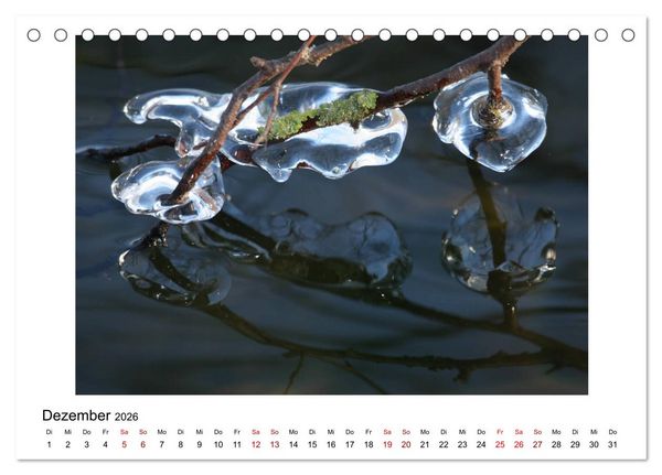 Produktbild: Nymphenburger Park (Tischkalender 2026 DIN A5 quer), CALVENDO Monatskalender