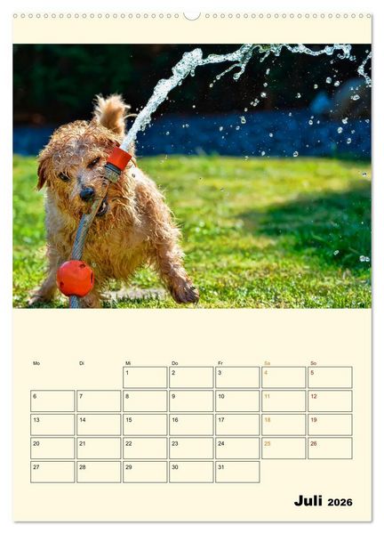 Produktbild: Lustig verr&uuml;ckt - der Tierkalender (hochwertiger Premium Wandkalender 2026 DIN A2 hoch), Kunstdruck in Hochglanz
