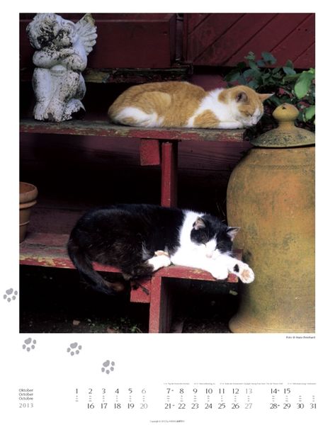 Produktbild: GartenTiger 2013