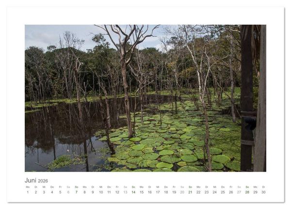 Produktbild: Amazonas, eine Reise entlang seiner Ufer (Wandkalender 2026 DIN A4 quer), CALVENDO Monatskalender