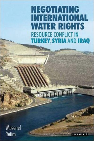 Produktbild: Negotiating International Water Rights