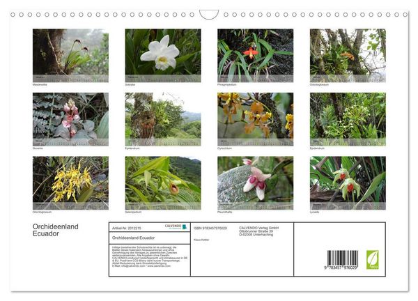 Produktbild: Orchideenland Ecuador (Wandkalender 2026 DIN A3 quer), CALVENDO Monatskalender