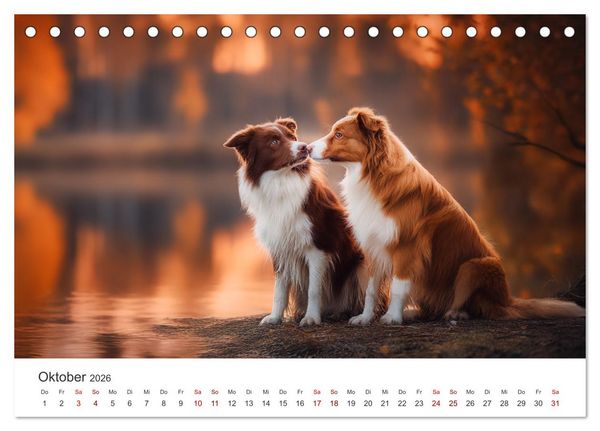 Produktbild: Sch&ouml;n, schlau, schnell! - Der Border Collie - Kalender (Tischkalender 2026 DIN A5 quer), CALVENDO Monatskalender