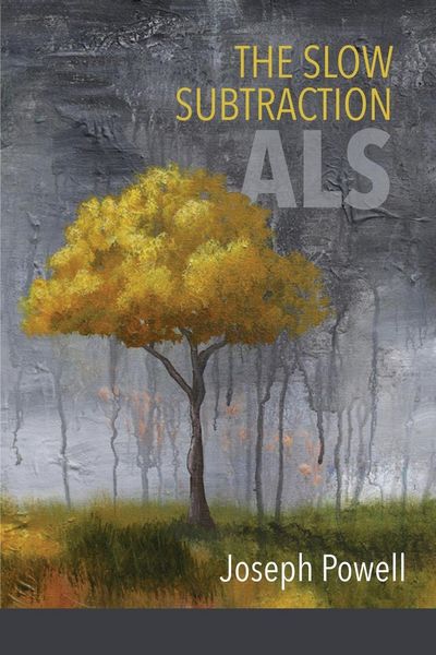 Produktbild: The Slow Subtraction