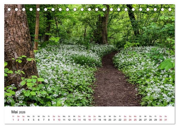 Produktbild: Wege in der Natur - Kraichgau und Enzkreis (Tischkalender 2026 DIN A5 quer), CALVENDO Monatskalender