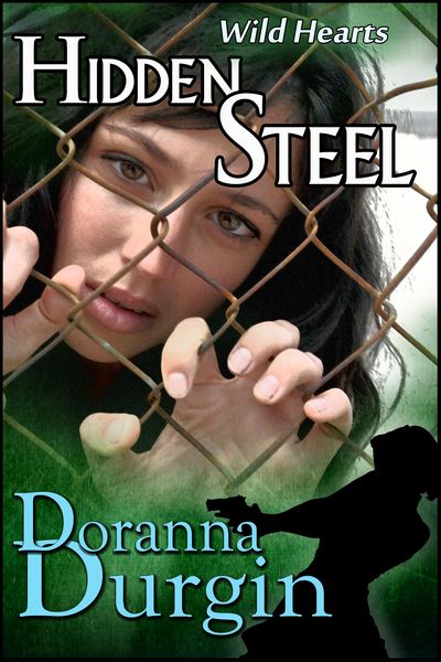 Produktbild: Hidden Steel (Hunter & Hunted, #1)