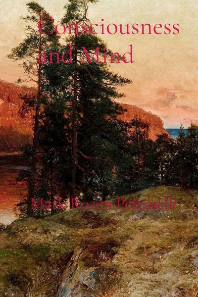 Produktbild: Consciousness and Mind