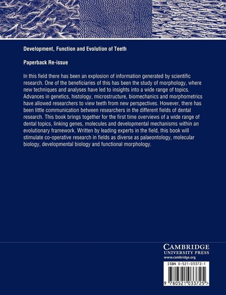 Produktbild: Development, Function and Evolution of Teeth