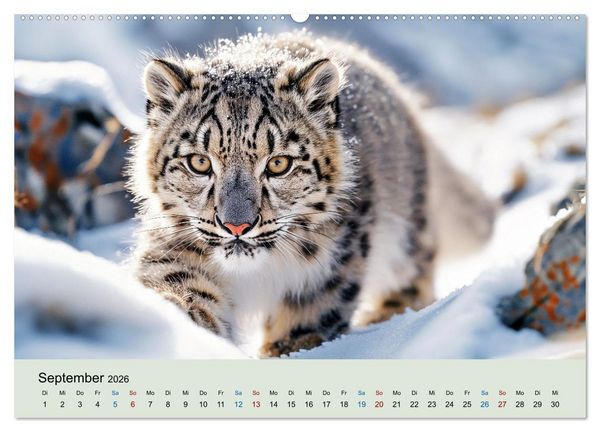 Produktbild: Tierkinder in Eis und Schnee (hochwertiger Premium Wandkalender 2026 DIN A2 quer), Kunstdruck in Hochglanz