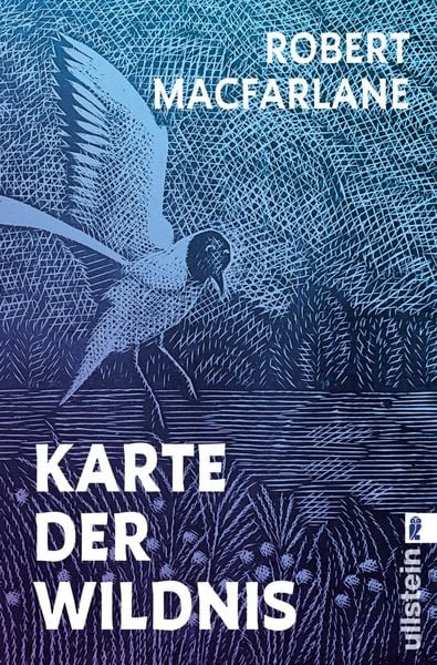 Produktbild: Karte der Wildnis