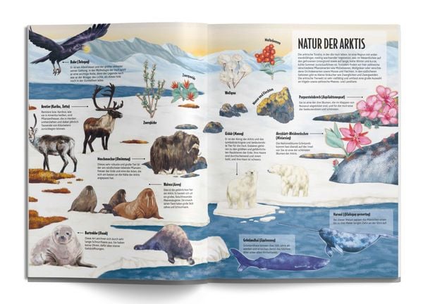 Produktbild: Die Welt der Inuit