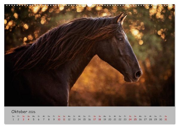 Produktbild: Spiegel deiner Seele (hochwertiger Premium Wandkalender 2026 DIN A2 quer), Kunstdruck in Hochglanz