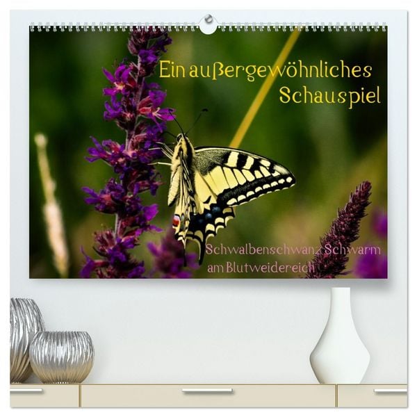 Produktbild: Ein au&szlig;ergew&ouml;hnliches Schauspiel (hochwertiger Premium Wandkalender 2026 DIN A2 quer), Kunstdruck in Hochglanz