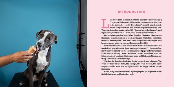 Produktbild: Dogs vs. Ice Cream