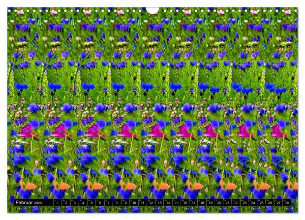 Produktbild: Magische Bilder - Stereogramme und 3D-Illusionen (Wandkalender 2026 DIN A3 quer), CALVENDO Monatskalender