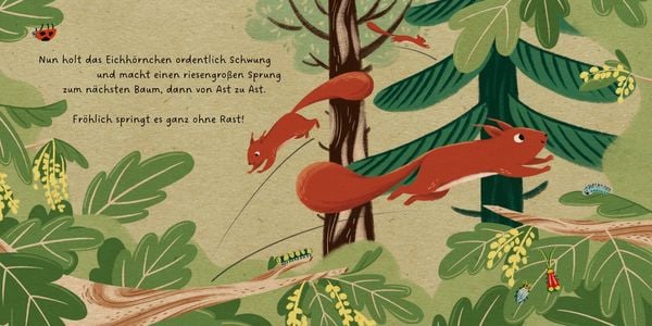 Produktbild: Meine Waldfreunde. Das kleine Eichhörnchen