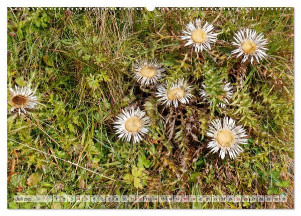 Produktbild: Herbst im Tannheimer Tal - Impressionen von Schattwald bis Nesselw&auml;ngle (Wandkalender 2026 DIN A2 quer), CALVENDO Monatskalender