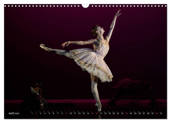 Produktbild: Vaganova, ballet imp&eacute;rial (Calendrier mural 2026 DIN A3 vertical), CALVENDO calendrier mensuel