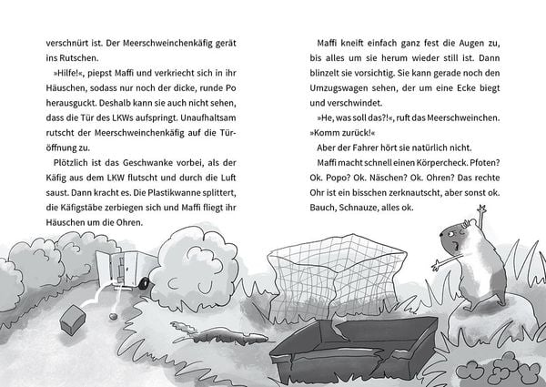 Produktbild: Das Wilde Haus der Tiere &ndash; Das Drama-Lama