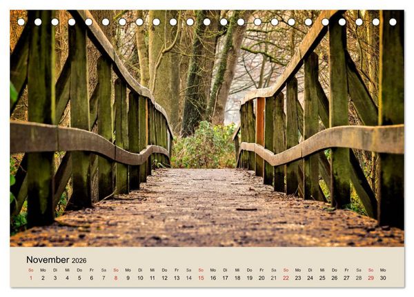 Produktbild: Der Wald. Durch zauberhafte Waldlandschaften (Tischkalender 2026 DIN A5 quer), CALVENDO Monatskalender