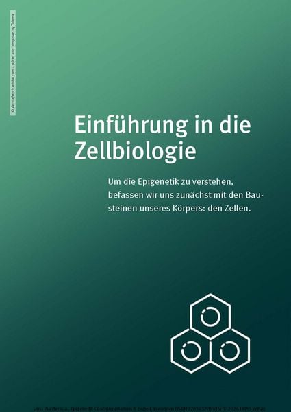Produktbild: Epigenetik-Coaching erlernen & gezielt anwenden