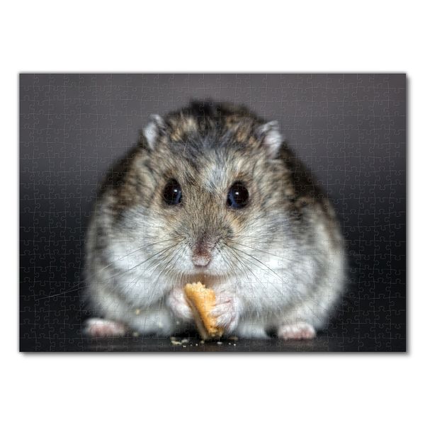 Produktbild: Lais Puzzle Hamster 500 Teile