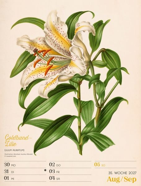 Produktbild: Ars Floralis Wochenplaner Kalender 2027
