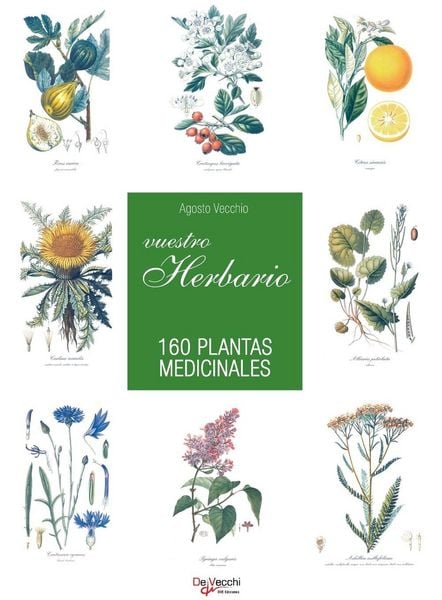 Produktbild: Vuestro herbario. 160 plantas medicinales
