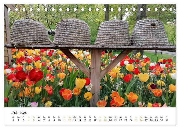 Produktbild: Auf Tour im Land der Tulpen (Tischkalender 2026 DIN A5 quer), CALVENDO Monatskalender
