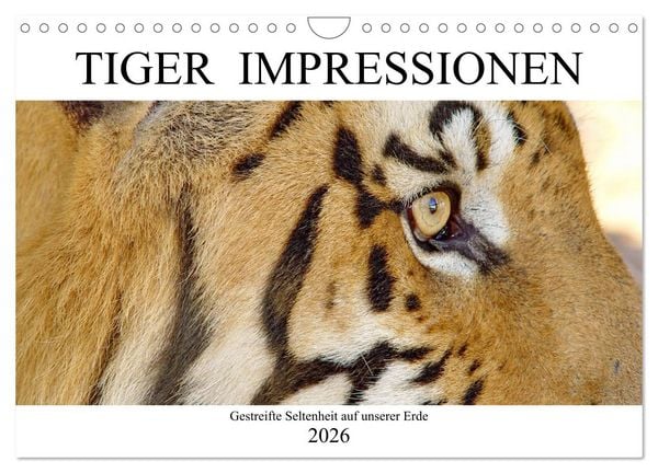 Produktbild: TIGER IMPRESSIONEN Gestreifte Seltenheit auf unserer Erde (Wandkalender 2026 DIN A4 quer), CALVENDO Monatskalender