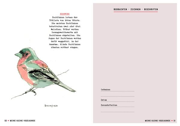 Produktbild: Meine kleine Vogelkunde