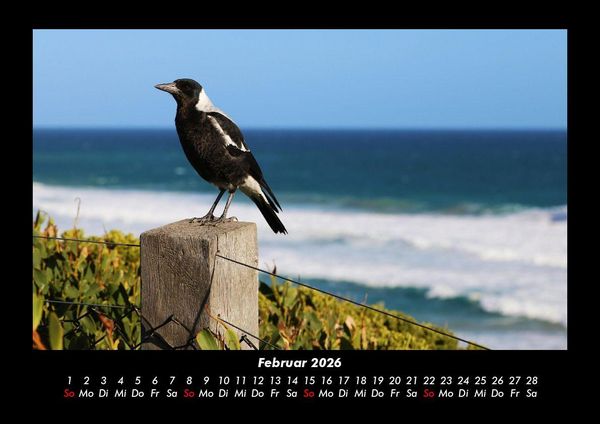 Produktbild: Vogelparadies 2026 Fotokalender DIN A3